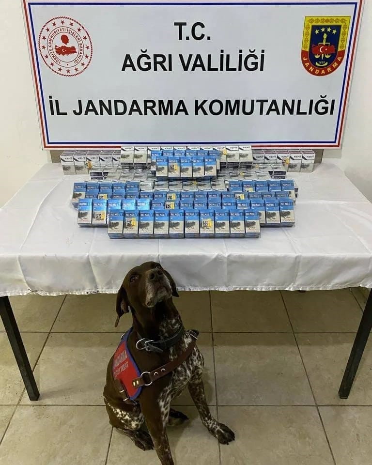 Ağrı'da gümrük kaçağı sigara yakalandı