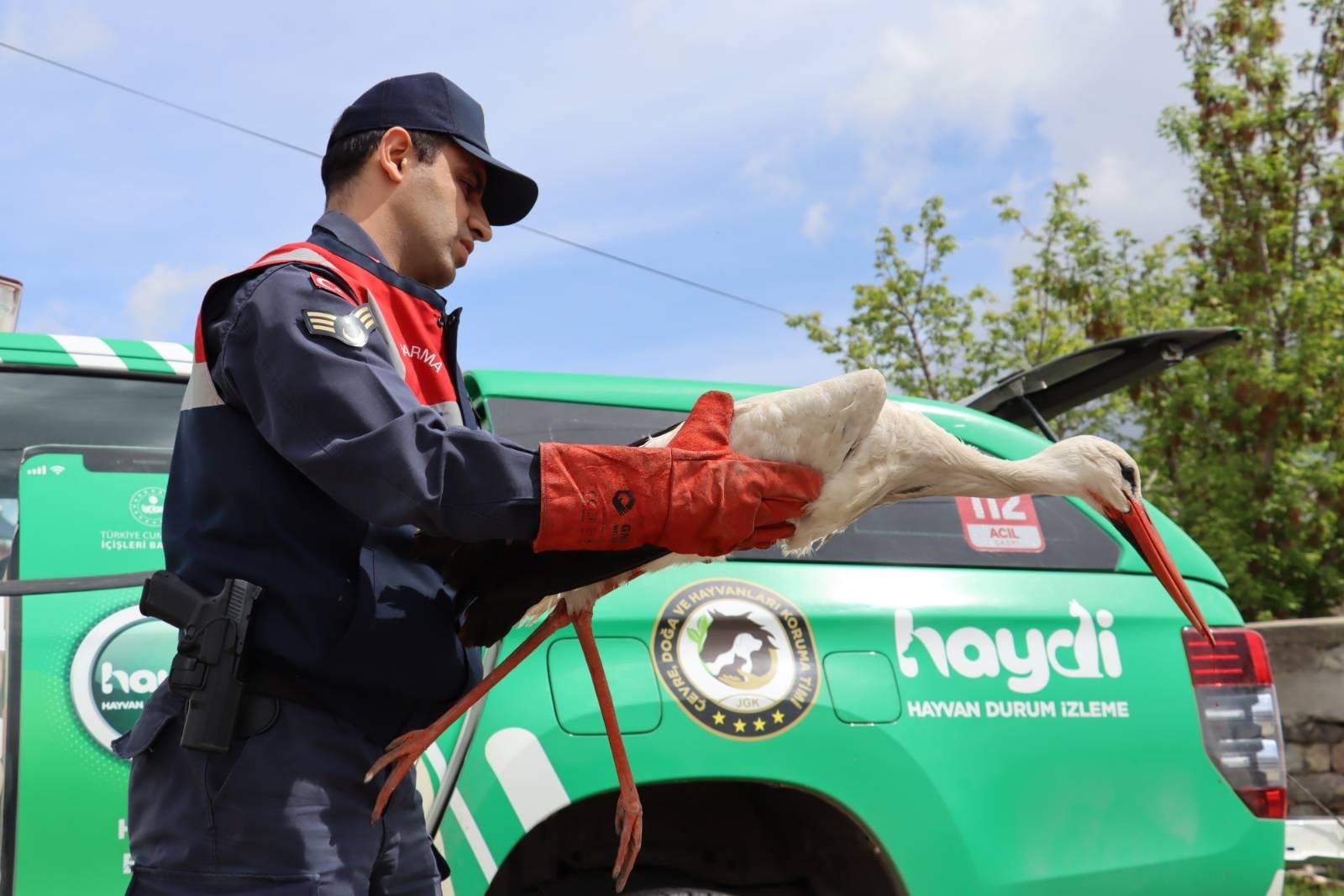 Ağrı'da yaralı halde bulunan leylek tedavi altına alındı