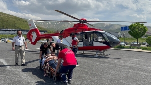 Arıların soktuğu hasta ambulans helikopterle Tatvan'a sevk edildi