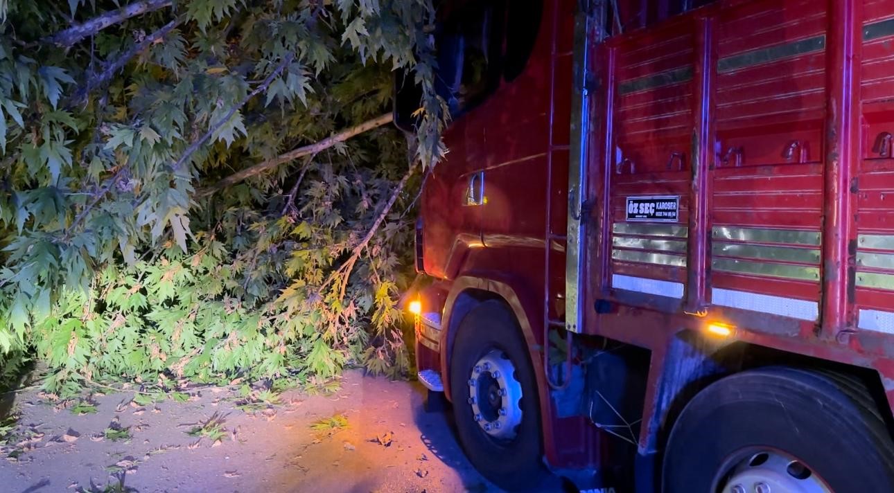 Elazığ'da trafo kulübesi yüklü tır ağacı devirdi: 1 yaralı