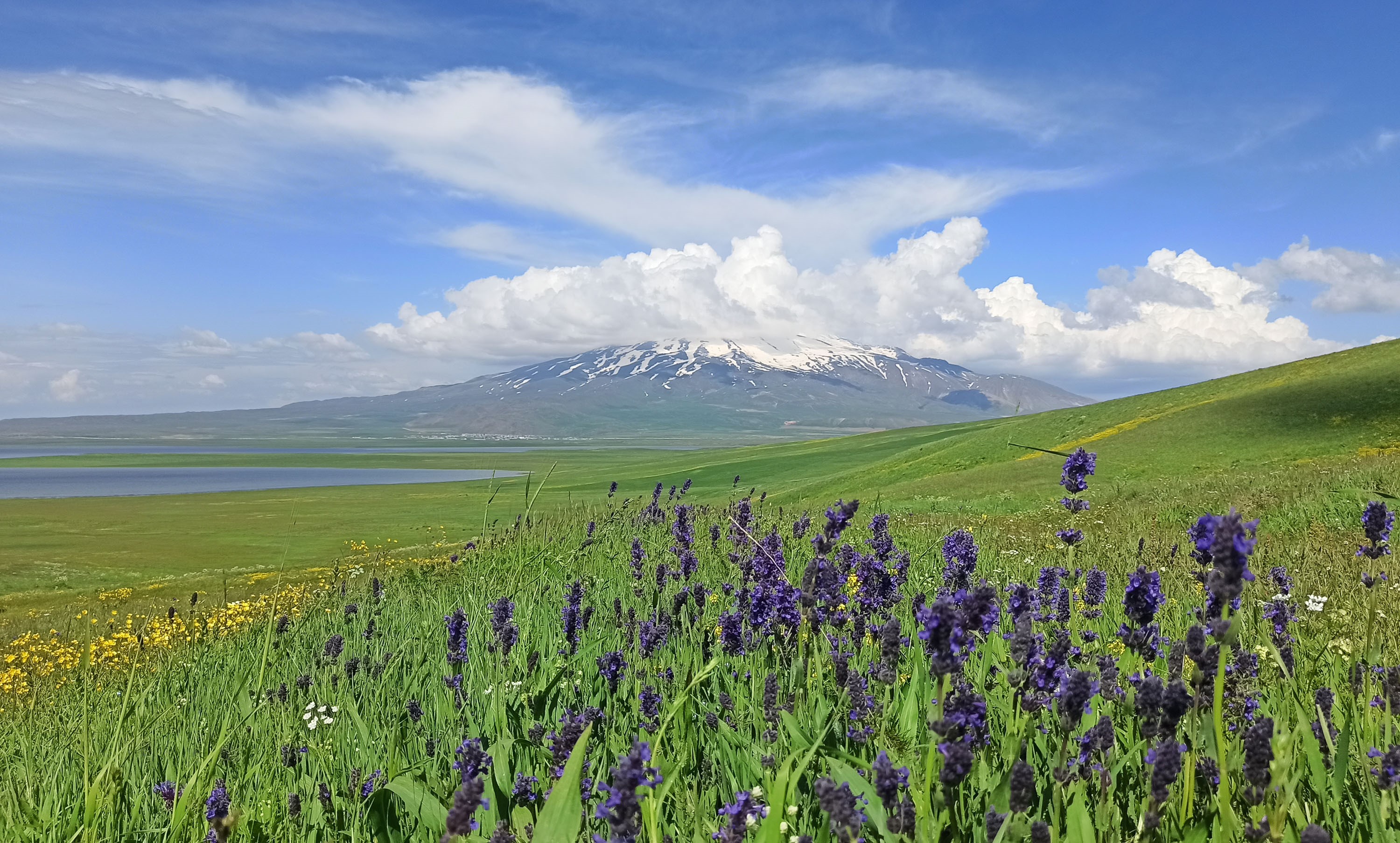 Sütey Yaylası ve Süphan Dağı'ndan hayranlık uyandıran görüntüler